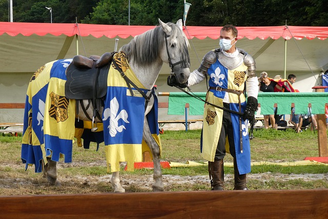 南FC赛